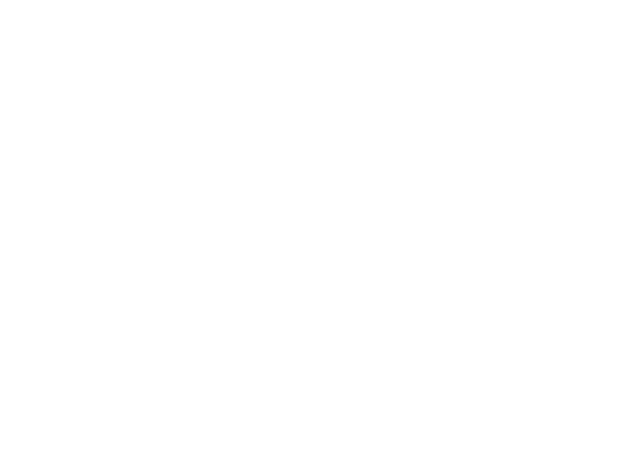 The Dallas Morning News